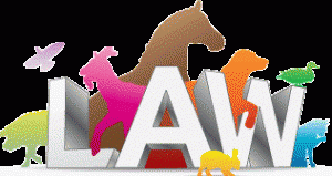 limerick animal welfare